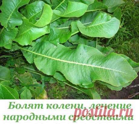 1 непрочитанный чат