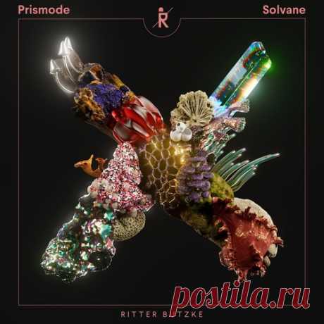 Solvane, Prismode, Max Joni &amp; Eleonora – X [RBR277] Sharing-DB.club