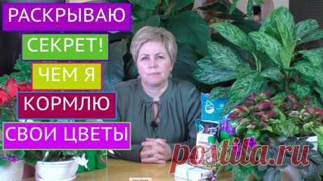 ЛУЧШИЕ ПОДКОРМКИ ДЛЯ ДОМАШНИХ ЦВЕТОВ! ПИТАТЕЛЬНЫЕ КОКТЕЙЛИ НА ЛЮБОЙ КОШЕЛЕК! Я рада всех приветствовать на канале Садовый Гид!Сегодня я хочу поделиться с Вами своими секретами подкормки комнатных цветов. Я расскажу Вам о различных "ко...