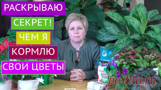 ЛУЧШИЕ ПОДКОРМКИ ДЛЯ ДОМАШНИХ ЦВЕТОВ! ПИТАТЕЛЬНЫЕ КОКТЕЙЛИ НА ЛЮБОЙ КОШЕЛЕК! Я рада всех приветствовать на канале Садовый Гид!Сегодня я хочу поделиться с Вами своими секретами подкормки комнатных цветов. Я расскажу Вам о различных 