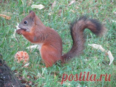 Мой Мир@Mail.Ru