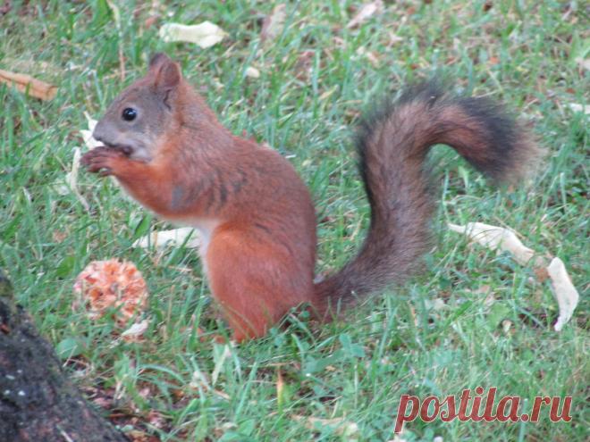 Мой Мир@Mail.Ru