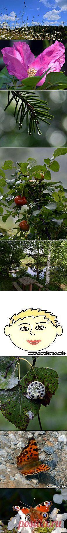 STRELOGOS: стихи и проза - Главная страница Добро пожаловать