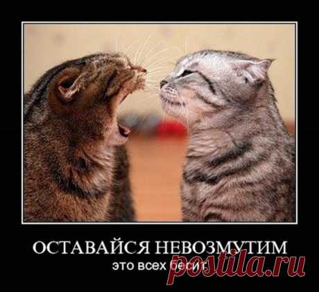 Десять смешных историй