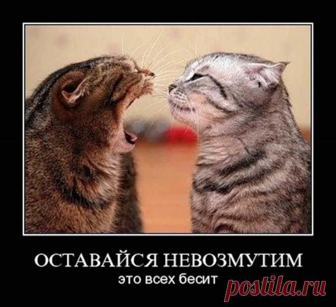 Десять смешных историй