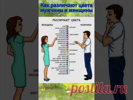 Как видят цвета мужчины и женщины