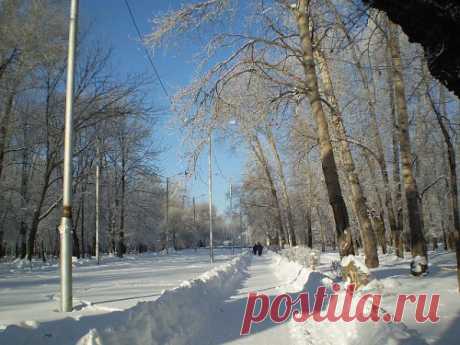 Аллея парка