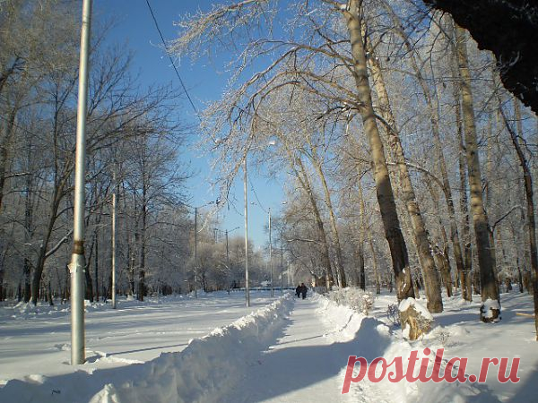 Аллея парка