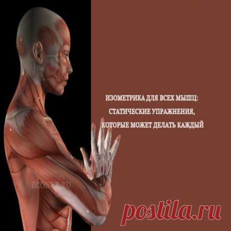 Запеканка… Какое вкусное слово. Предлагаем вам 10 рецептов лучших запеканок на каждый день