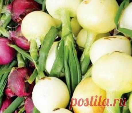 5 мая-день Луки. Канун Юрьева дня. | Познавательный сайт ,,1000 мелочей&quot;