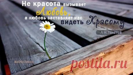 Мудрые, позитивные и короткие высказывания о жизни великих людей