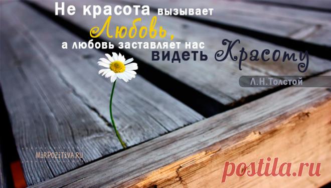 Мудрые, позитивные и короткие высказывания о жизни великих людей