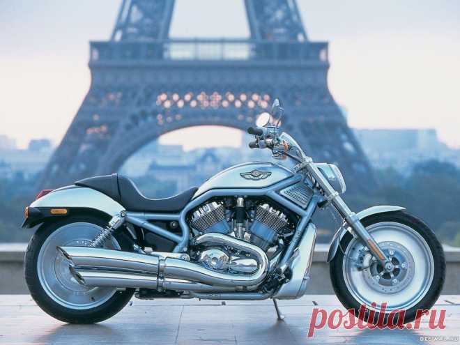 Обои: мотоцикл harley-davidson для рабочего стола 1152x864. Мотоцикл Харлей-Дэвидсон на бесплатной фотообои
