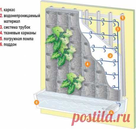 Фитостена: мастер-класс — Мой дом