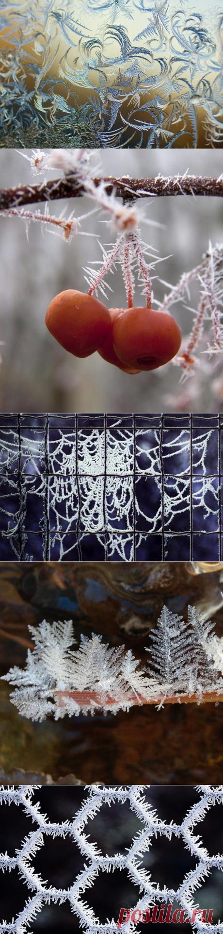 Мороз-художник. Шедевры природы