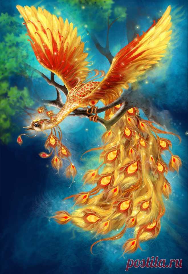 Портфолио фрилансера Екатерина Тарасюк [moteelde]. Рисунки и иллюстрации - жар птица. Фриланс, удаленная работа на FL.ru