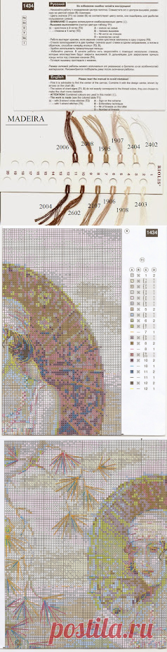 Вышивалка: 1434 "Старая фотография. Ривьера" Riolis