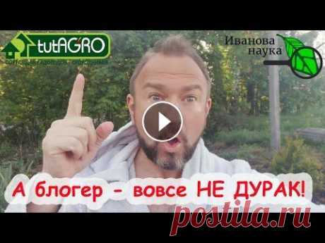 БЛОГЕР - ДУРАК??? ИЛИ 3 СЕКРЕТА ДРОЖЖЕЙ. КАК ПРАВИЛЬНО ИСПОЛЬЗОВАТЬ ДРОЖЖИ ДЛЯ ПОДКОРМКИ РАСТЕНИЙ. Дрожжи - многофункциональный продукт для приготовления теста, вина, пива, браги и для подкормки растений. Какие же дрожжи лучше для каких целей: живые...