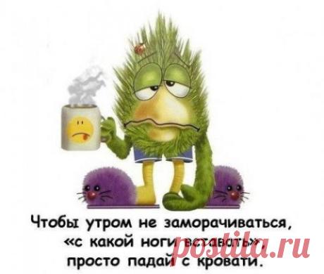 Светлана Анохина