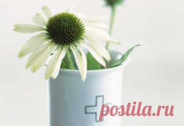 Дневник Алимдюла