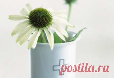 Дневник Алимдюла