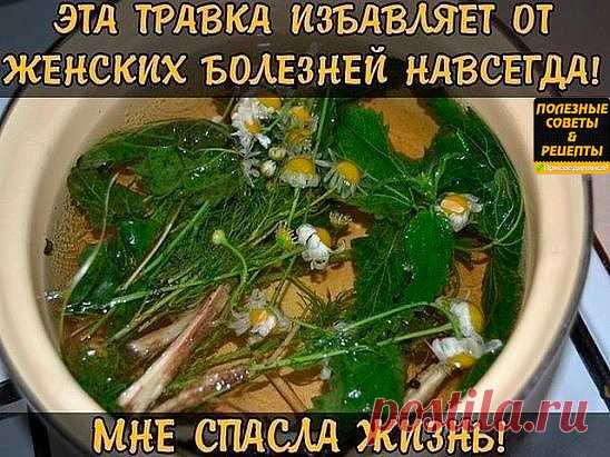 ЭТА ТРАВКА ИЗБАВЛЯЕТ ОТ ЖЕНСКИХ БОЛЕЗНЕЙ НАВСЕГДА! МНЕ СПАСЛА ЖИЗНЬ!
Женщин часто называют слабым полом, и особенно это справедливо в отношении женского здоровья - его легко и быстро можно потерять и так сложно восстановить. На начальном этапе многие недуги можно одолеть с помощью лекарственных трав.
Фитотерапия - это хорошее дополнение к лечению. Лекарственные травы восстанавливают многие функции организма и стабилизируют его состояние.
Общеизвестный факт - причинами большинства женских забо