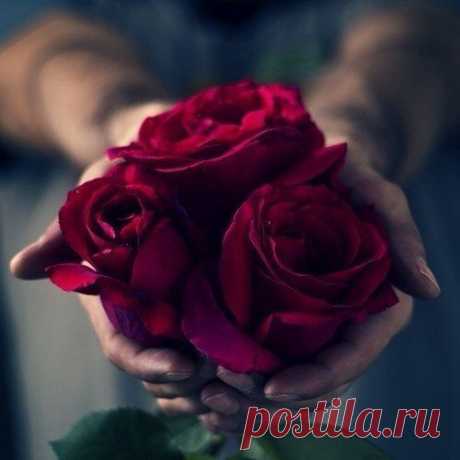 хх