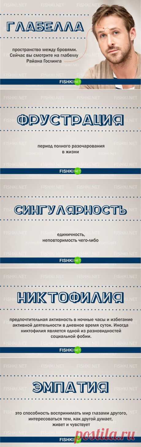 20 слов, которые вы скорее всего не знали