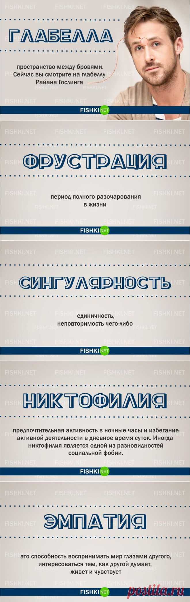 20 слов, которые вы скорее всего не знали