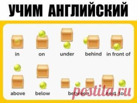 УЧИМ  АНГЛИЙСКИЙ
300 первых слов. 24 смысловые группы.

please (плиз) - пожалуйста, прошу. sorry (сори) - извините
you are welcome (ю а вэлкам) - пожалуйста, не за что
hello (хэллоу) - здравствуйте. hi (хай) - привет

goodbye (гудбай) - до свидания, пока. see you (cи ю) - увидимся
yes (да) - да. no (ноу) - нет. not (нот) - не
this (зис) - этот. that (зэт) – тот

name (нэйм) - имя. address (эдрэс) - адрес
phone number (фоун намбэр) - номер. age (эйдж) - возраст
married (мэр...