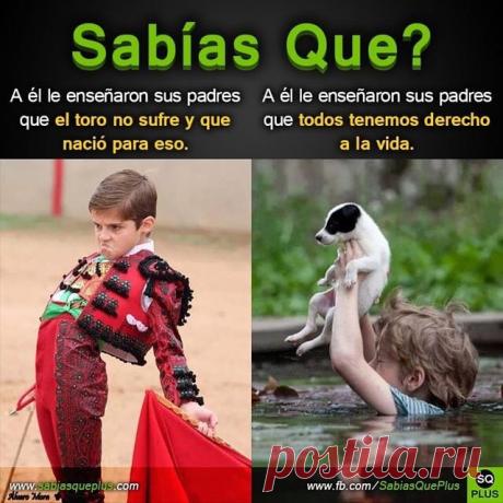 Sigue a @animalesyfrases si te gustaría un mund... • animalesyfrases Sigue a @animalesyfrases si te gustaría un mundo mejor para ellos ❤️🐶🐱
.
.
.
.
.
#meditacion #meditar #coach #coaching #mentesana #felicidad #prosperidad #frases #frasesquemotivan #frasedeldia #hooponopono #espiritualidad #amoalosanimales #animales #bienestar #reflexiones #namaste #positivismo #positivo #frasespositivas #pensamientos #mujerholistica #hoponoponolover #piensoenpositivo #yopiensoenpositivo...