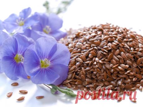 Полезные свойства льняного семени | Волшебная Eда.ру