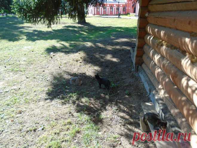 Фотографии Людмилы Мезиной | 19 альбомов