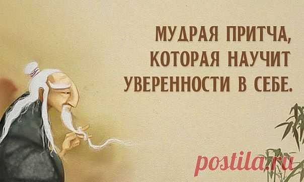 Мудрая притча, которая научит уверенности в себе. | Хитрости Жизни