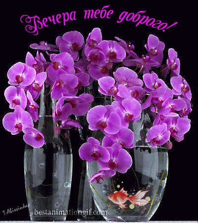 Жемчужные мысли...