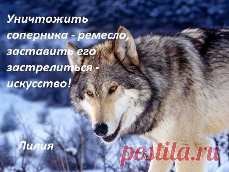 Ташка @@@ - Иваново, Ивановская обл., Россия на Мой Мир@Mail.ru