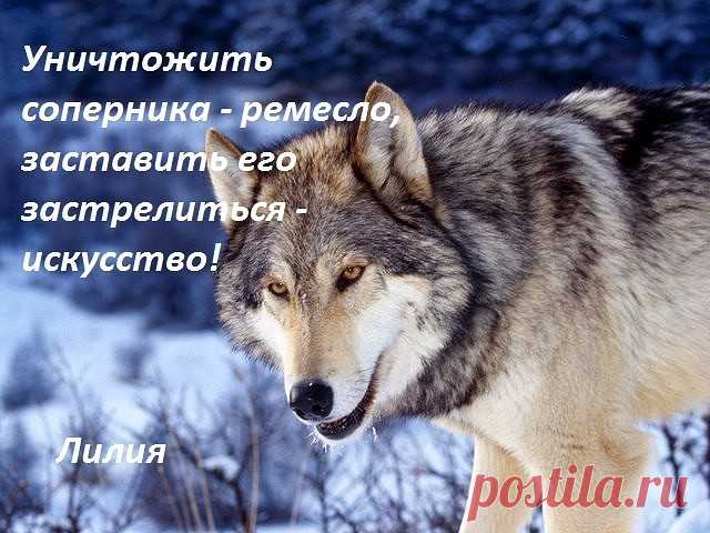 Ташка @@@ - Иваново, Ивановская обл., Россия на Мой Мир@Mail.ru