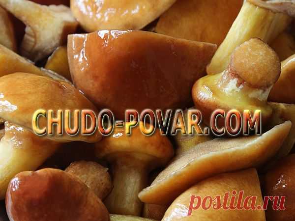 МАРИНОВАННЫЕ МАСЛЯТА