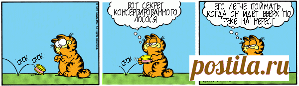 1980-08-01