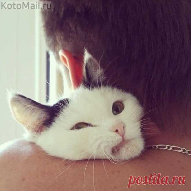 Крепкая мужская рука