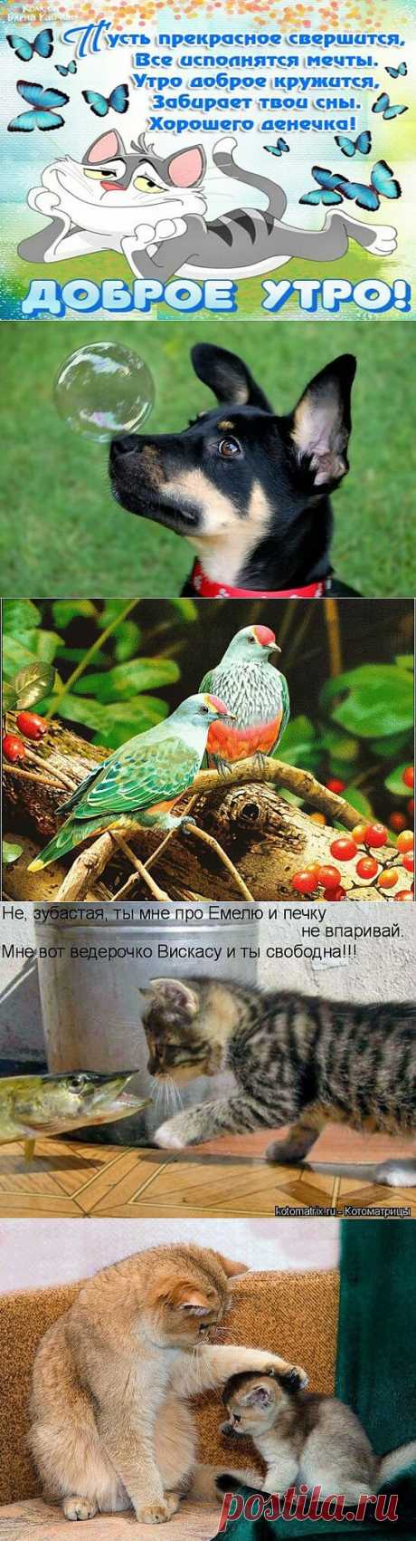 Мой Мир@Mail.Ru