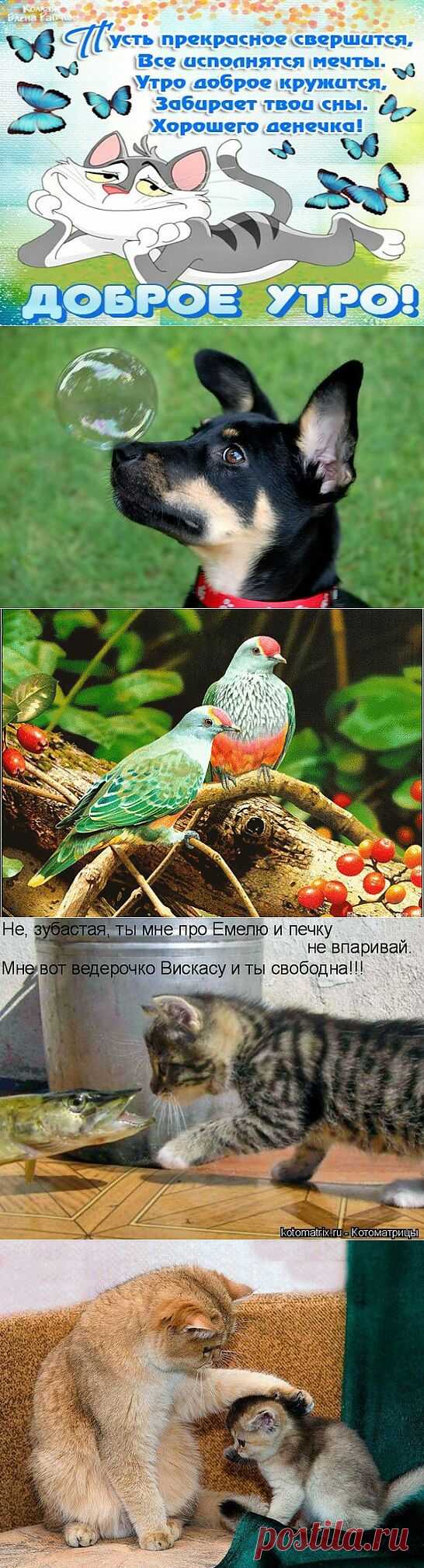 Мой Мир@Mail.Ru