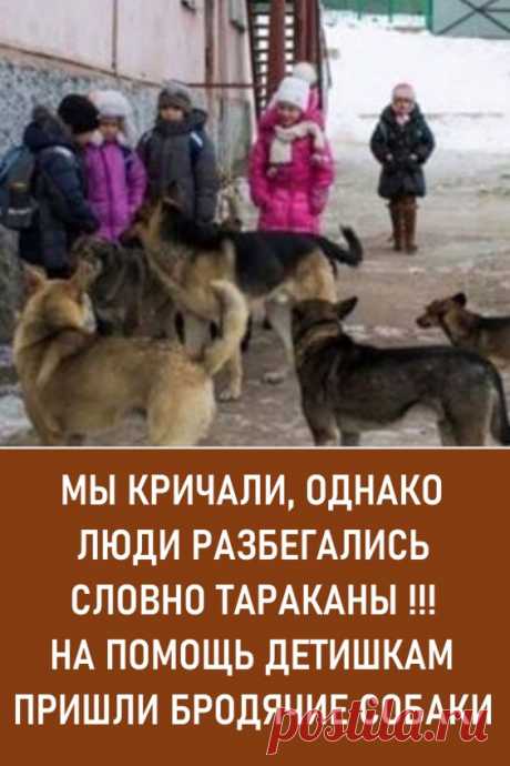 Мы кричали, однако люди разбегались, словно тараканы!!! На помощь детишкам пришли бродячие собаки. Услышав такую историю, поневоле задумаешься о том, что многие животные гораздо более человечны, чем некоторые люди…