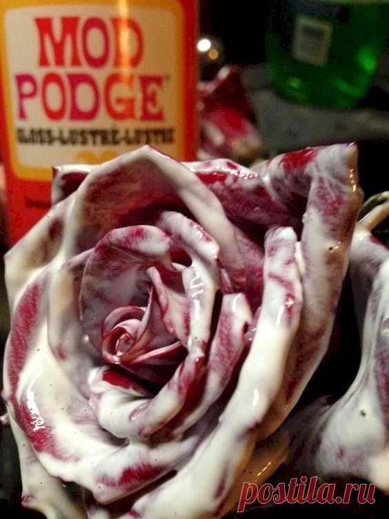 Prácticas Ideas para el Hogar...: Cómo secar flores: las mejores formas de conservar un ramo