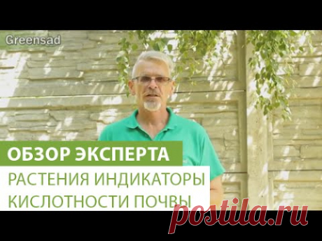 Растения индикаторы кислотности почвы