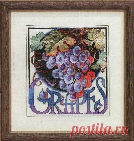 Gallery.ru / Фото #19 - Цветочные семена - Clematis