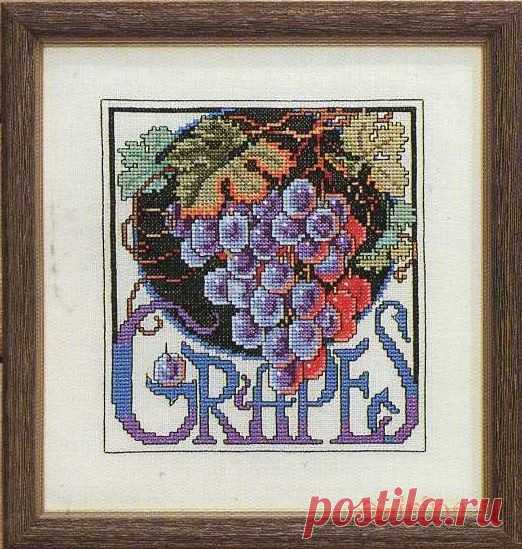 Gallery.ru / Фото #19 - Цветочные семена - Clematis