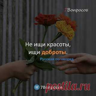 7Вопросов Не ищи красоты, ищи доброты. © Русская поговорка
