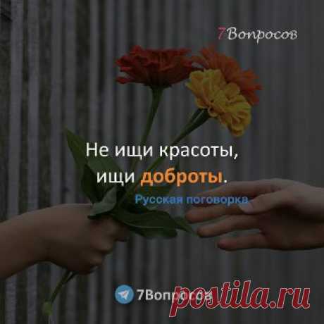 7Вопросов Не ищи красоты, ищи доброты. © Русская поговорка