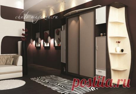 Шкаф купе с приставными распашными модулями и угловым терминалом Ш-119. В интернет-магазин Chudo-magazin.ru в Москве.